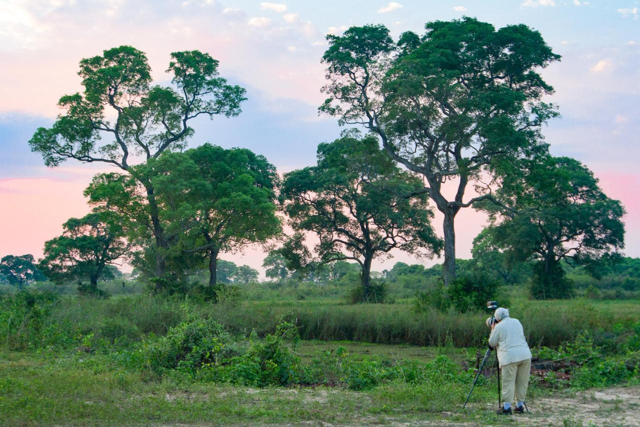 Southwild Pantanal Lodge Pixaim Ngoại thất bức ảnh