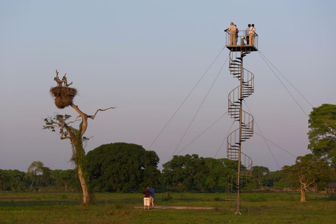 Southwild Pantanal Lodge Pixaim Ngoại thất bức ảnh