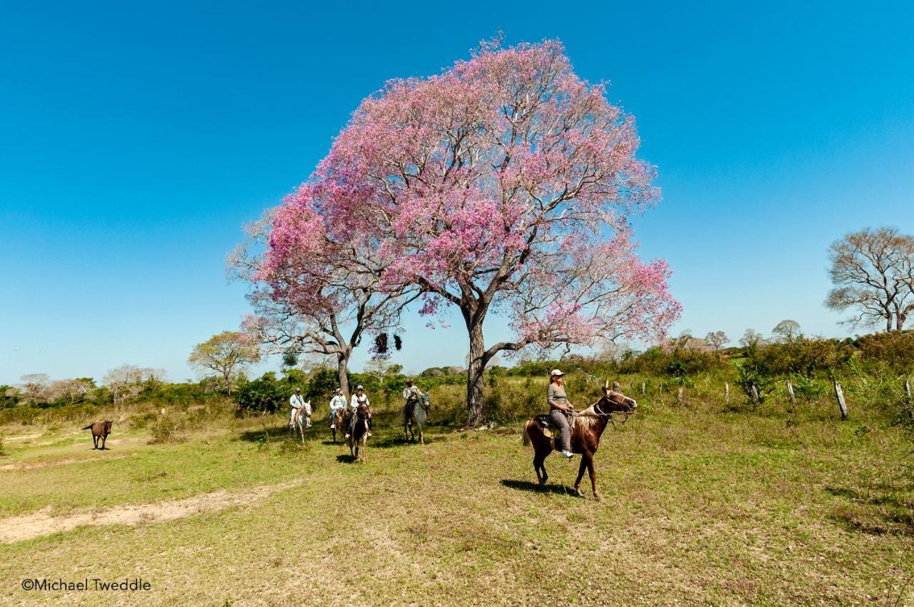 Southwild Pantanal Lodge Pixaim Ngoại thất bức ảnh