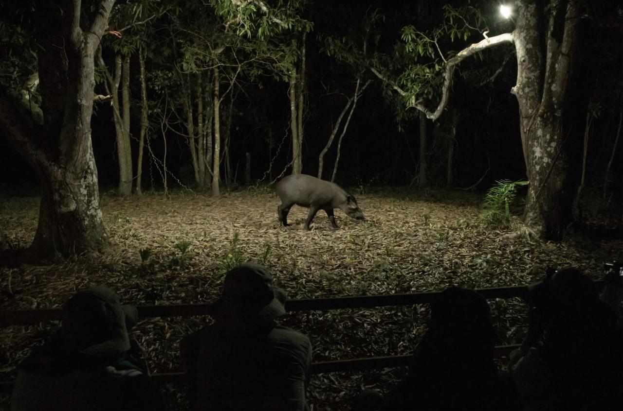 Southwild Pantanal Lodge Pixaim Ngoại thất bức ảnh