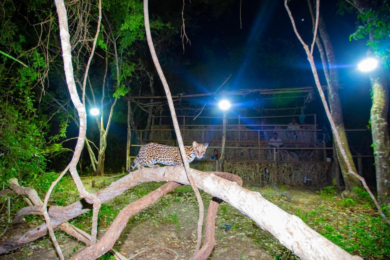 Southwild Pantanal Lodge Pixaim Ngoại thất bức ảnh