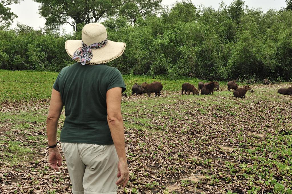 Southwild Pantanal Lodge Pixaim Ngoại thất bức ảnh
