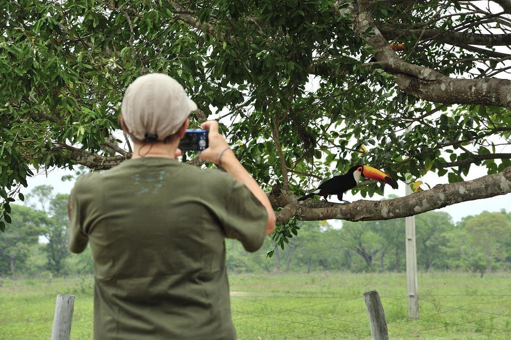 Southwild Pantanal Lodge Pixaim Ngoại thất bức ảnh
