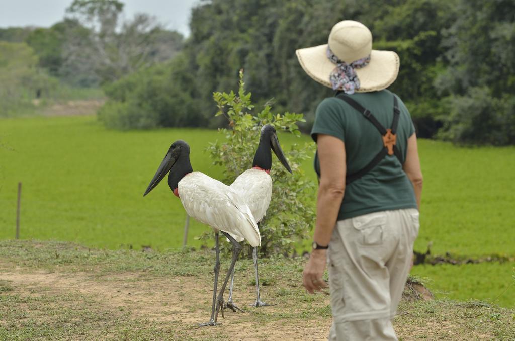 Southwild Pantanal Lodge Pixaim Ngoại thất bức ảnh