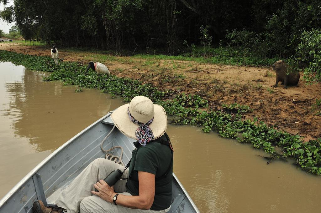 Southwild Pantanal Lodge Pixaim Ngoại thất bức ảnh