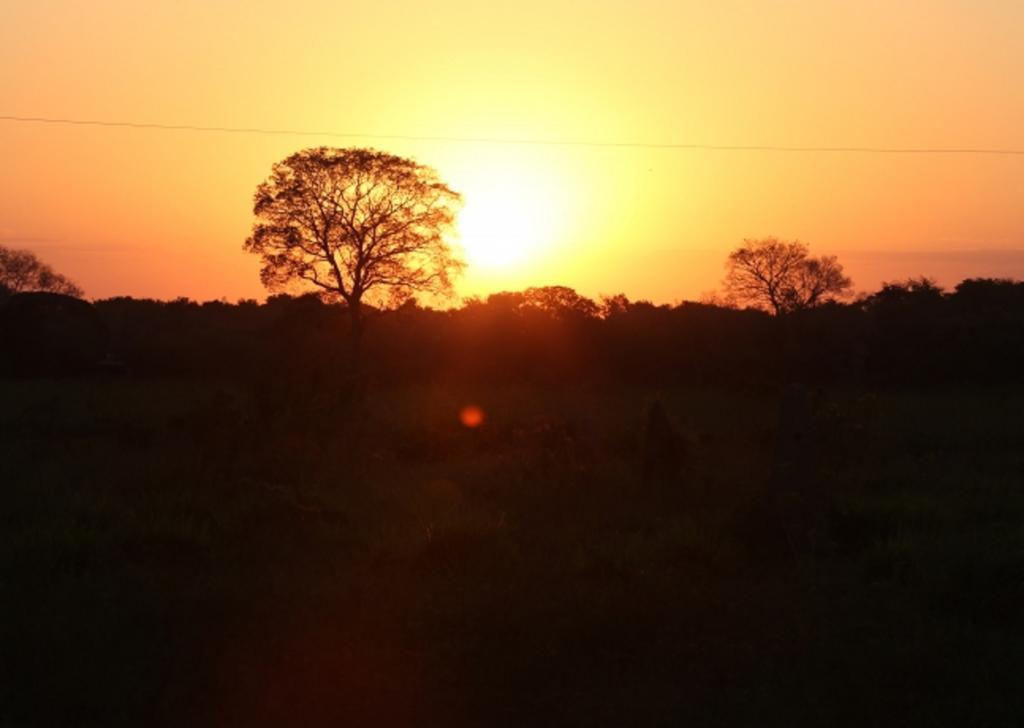Southwild Pantanal Lodge Pixaim Ngoại thất bức ảnh