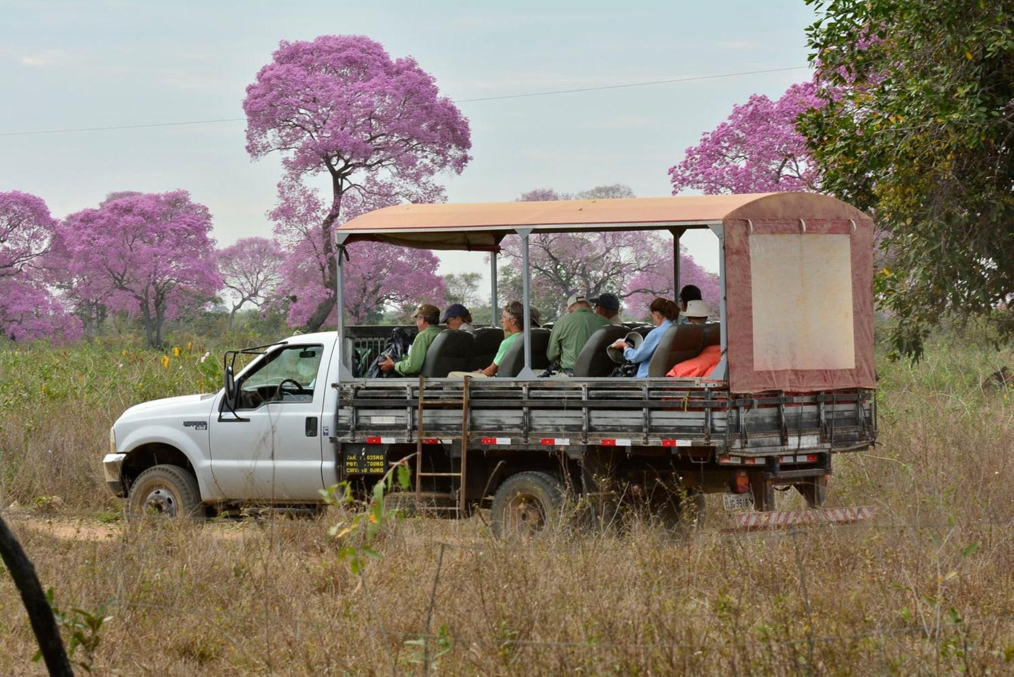 Southwild Pantanal Lodge Pixaim Ngoại thất bức ảnh