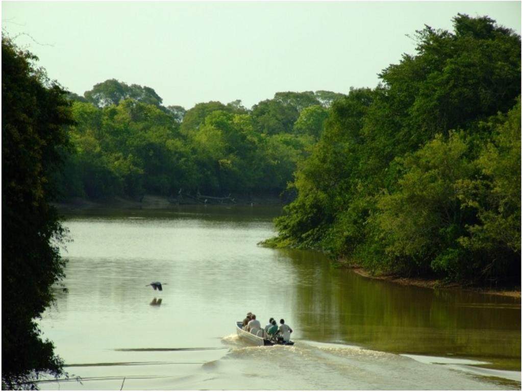 Southwild Pantanal Lodge Pixaim Ngoại thất bức ảnh